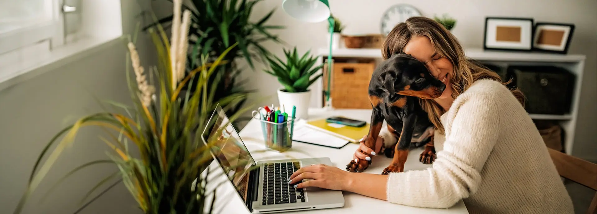 Un chiot est assis sur les genoux d'une femme qui travaille sur son ordinateur portable sur une terrasse extérieure lumineuse avec de nombreuses plantes.