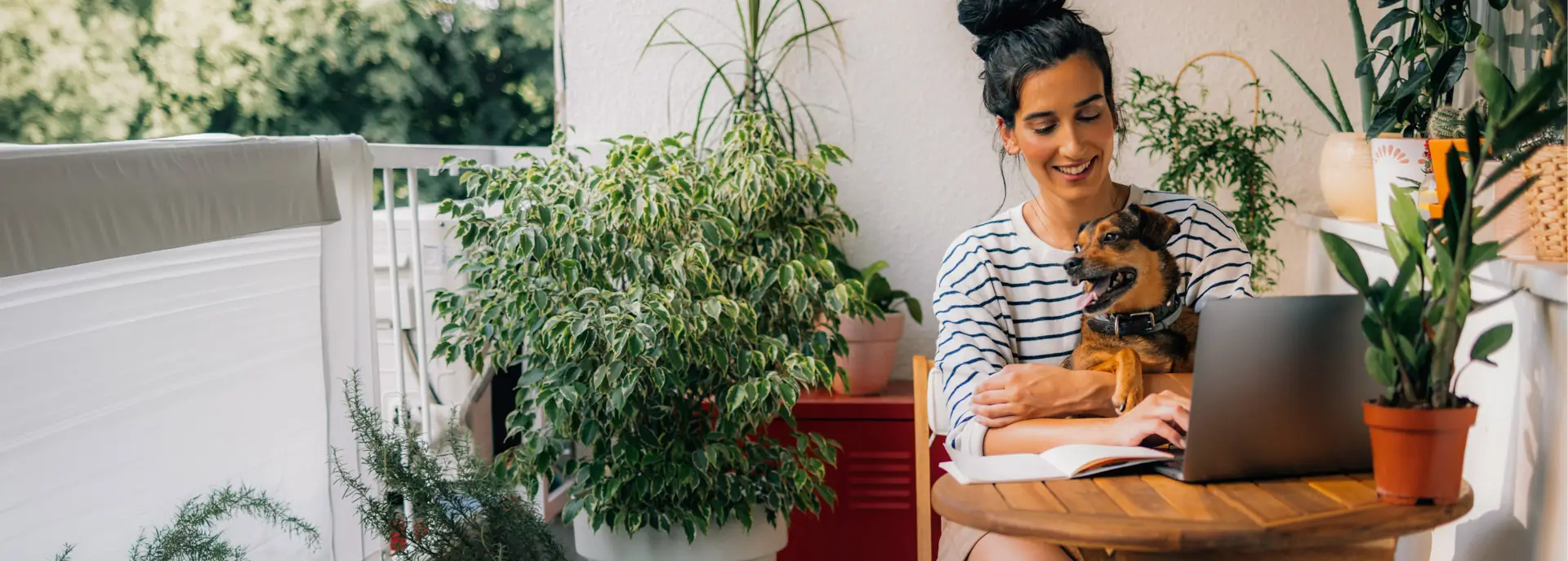 A puppy sits in the lap of a woman as she works at her laptop on a bright outdoor patio with many plants.