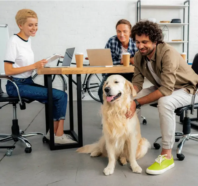 A smiling Golden Retriever gets some pets from three young professionals at the office